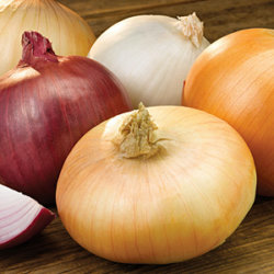 onion varieties Onion Association